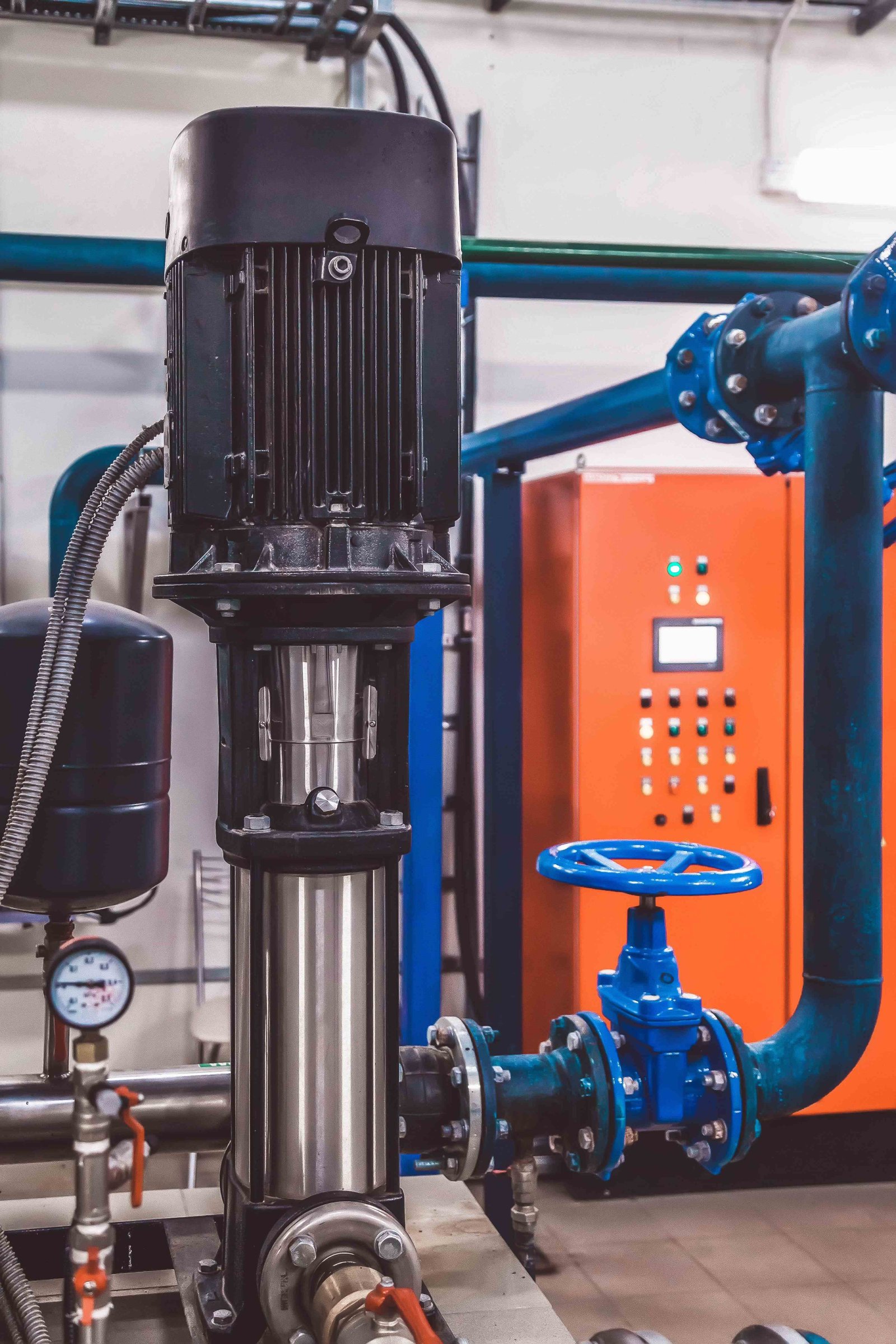 Vertical jockey pump used in a fire protection system